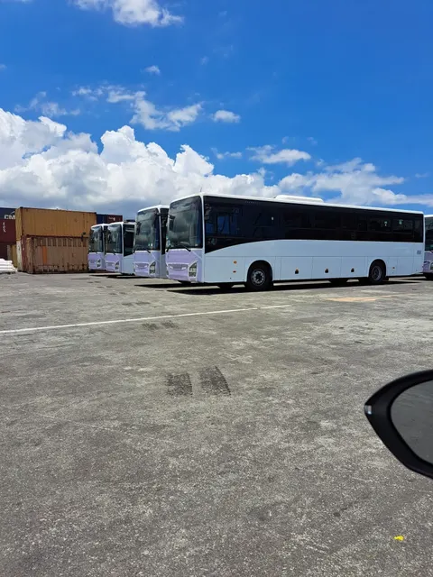 Autocars IVECO neufs stationnés au port avant transport maritime — IFTL