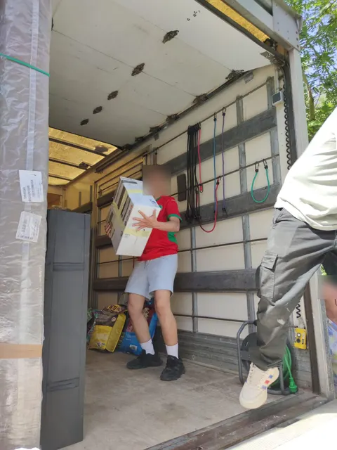 Manutention de cartons dans le camion de déménagement avant expédition maritime — IFTL